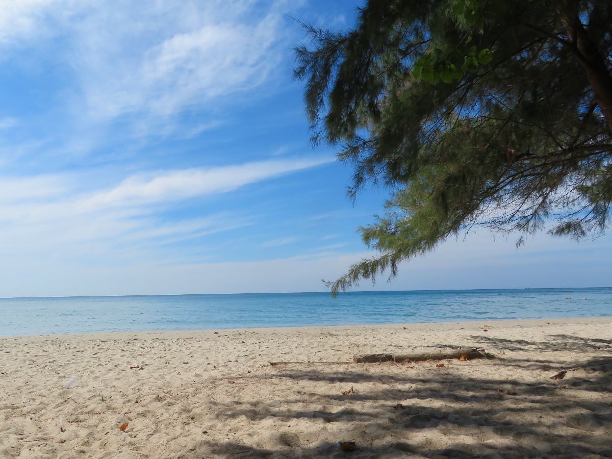 Olles födelsedag men ingen Olle på stranden